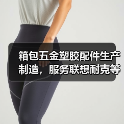 箱包五金塑胶配件生产制造，服务联想耐克等全球知名客户（图2）