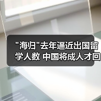 海归去年逼近出国留学人数 中国将成人才回流国(图4)