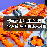 海归去年逼近出国留学人数 中国将成人才回流国(图3)