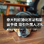 意大利欲简化签证和居留手续 吸引外国人才和投资者(图3) 意大利欲简化签证和居留手续 吸引外国人才和投资者(图3)
