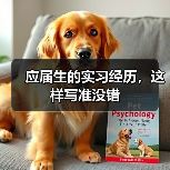 应届生的实习经历，这样写准没错（图4）