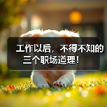 工作以后，不得不知的三个职场道理！（图1）