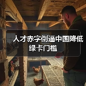 人才赤字倒逼中国降低绿卡门槛（图4）