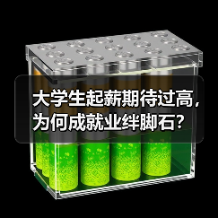 大学生起薪期待过高,为何成就业绊脚石?(图2) 大学生起薪期待过高,为何成就业绊脚石?(图2)