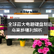 全球最大电脑键盘制造商高薪福利解析（图2）