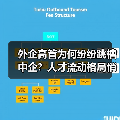 外企高管为何纷纷跳槽中企？人才流动格局悄然改变（图3）