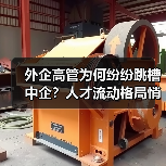外企高管为何纷纷跳槽中企？人才流动格局悄然改变（图4）