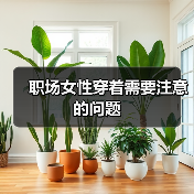 职场女性穿着需要注意的问题(图3) 职场女性穿着需要注意的问题(图3)