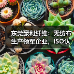 东莞豪利纤维:无纺布生产领军企业,ISO认证与员工福利揭秘(图1) 东莞豪利纤维:无纺布生产领军企业,ISO认证与员工福利揭秘(图1)