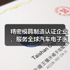 精密模具制造认证企业，服务全球汽车电子医疗行业（图1）