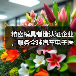 精密模具制造认证企业，服务全球汽车电子医疗行业（图4）