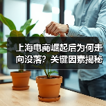 上海电商崛起后为何走向没落？关键因素揭秘（图4）